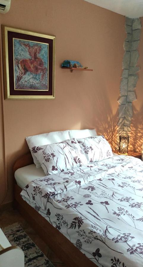 Apartment Aki Kotor Kültér fotó