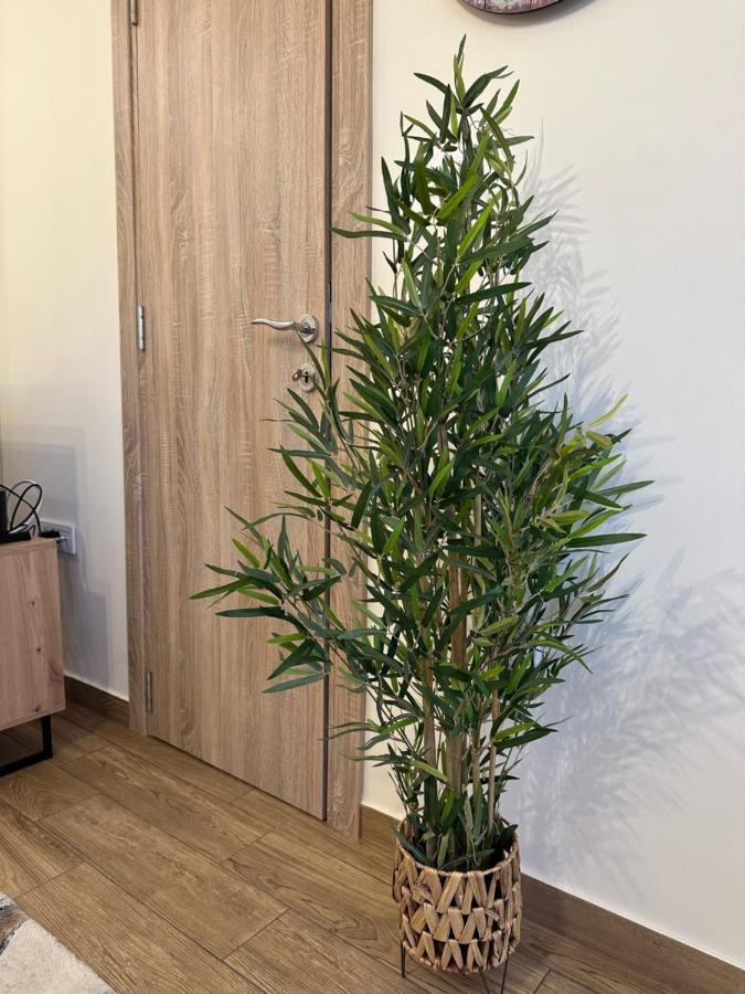 Apartment Aki Kotor Kültér fotó